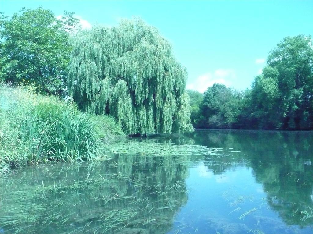 לינה וארוחת בוקר Le Havre De Bennecourt מראה חיצוני תמונה